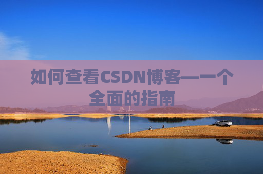 如何查看CSDN博客—一个全面的指南
